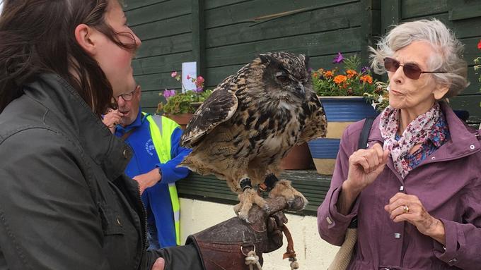 South cave falconry 1